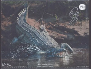 2024 ZAMBIA Signed 11X14 ARTIST PROOF #d 4/10 Calendar NILE CROCODILE by BC Mixx - Imagen 1 de 3