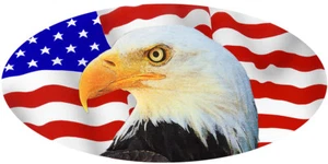 Calcomanía de parachoques Bandera y Águila de EE. UU. Personalizar Grande Ovalada 4.5" x 9" América - Imagen 1 de 1