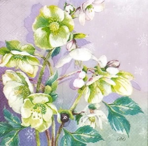 Z140# 3 x Servilletas de Papel Pequeñas Decoupage Verde Hellebore Flor Sobre Lila - Imagen 1 de 12