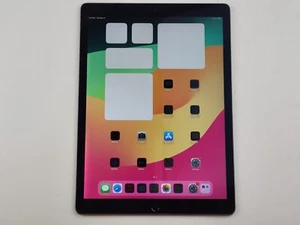 Apple iPad Pro (12,9 pulgadas) (2.ª generación) (A1671) 256 GB, Wi-Fi + 4G (desbloqueado) 12,9" - Imagen 1 de 11