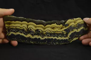Mascherina guscio galena marcasite zinco wurtzite slab slice mine Olkusz Polska - Foto 1 di 10