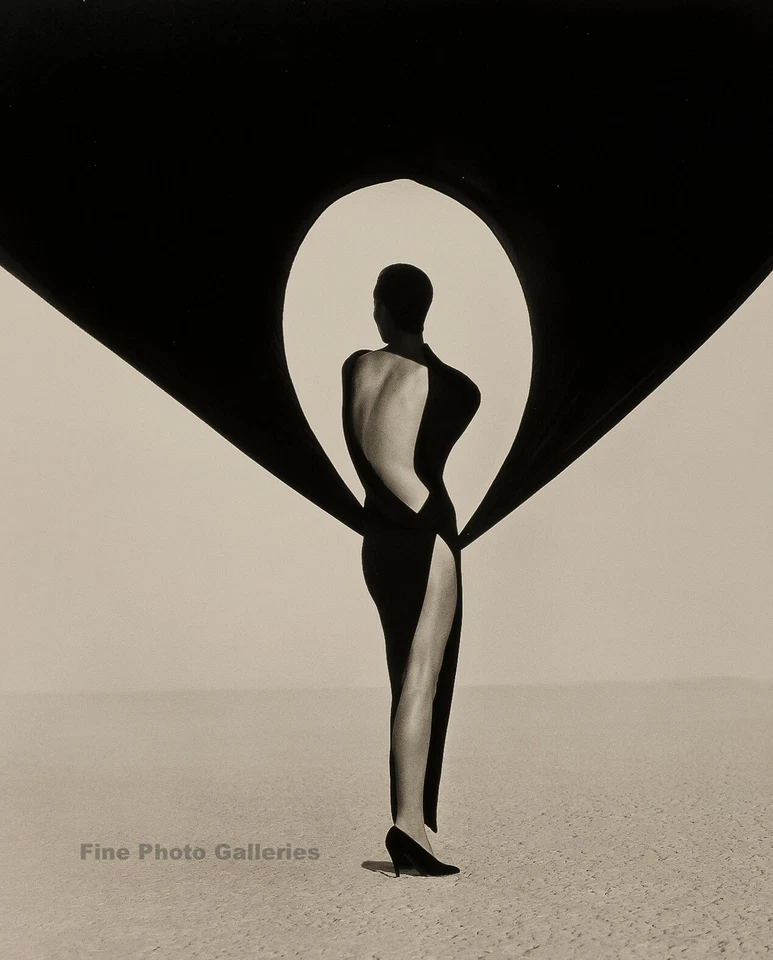 1990 复古 HERB RITTS 女式时尚范思哲礼服沙漠风照片艺术 11x14 — 第 1/1 张图片