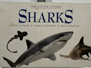 SHARKS : GUIDE TO SPECIES, 500 ILLUSTRATIONS, WHERE TO SEE   BOOK  NEW - Picture 1 of 1