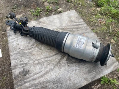 Amortiguador suspensión neumática delantera derecha Hyundai Equus 2011-2016 4,6 L 5,0 L OEM Foto 1 de 4