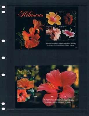 Valor Scott de $26,00 - 2017 GAMBIA Hibisco 2 s/s flores africanas CV MNH NH UMM Foto 1 de 4