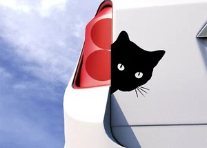 Adesivo finestra paraurti auto viso gatto decalcomanie decorazione - Foto 1 di 1