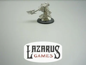 Hordes: Trollbloods - Madrak Ironhide, World Ender (Privateer Press, metal) - Imagen 1 de 4