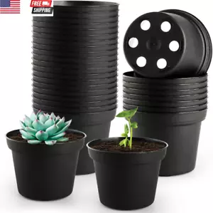 60 Pack 3 Inch Black Nursery Pots - Plastic Seedling, Seed Starter, Germination - Picture 1 of 8