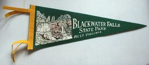 Vintage Blackwater Falls State Park, West Virginia, Felt Pennant - 1970s - Picture 1 of 3