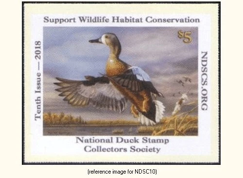 D2K National Duck Stamp Collectors Society 2018 $5 (blue-wing teal) - Image 1 of 1