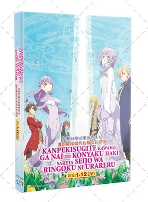 The Too-Perfect Saint Kanpekisugite Kawaige Japanese Anime DVD English Sub - Image 1 of 4