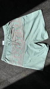 Supreme Big Logo Nylon Shorts SS25 Men Size Large Green Authentic New w/ Tags - Picture 1 of 3