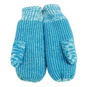 LL Bean Women's Winter Lined Mittens Teal Gray One Size - Picture 1 of 4