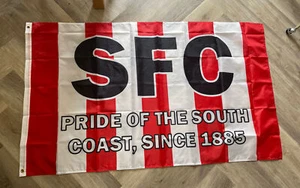 Southampton FC SFC The Saints Flag 5ft by 3ft Shirt Scarf Badge Hat scum Army - Picture 1 of 1