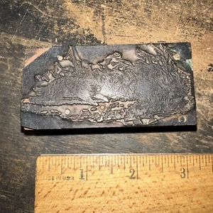 Printing Block ( Beaver Woodchuck Groundhog ??) Copper Face Nice Image!￼ - Picture 1 of 12