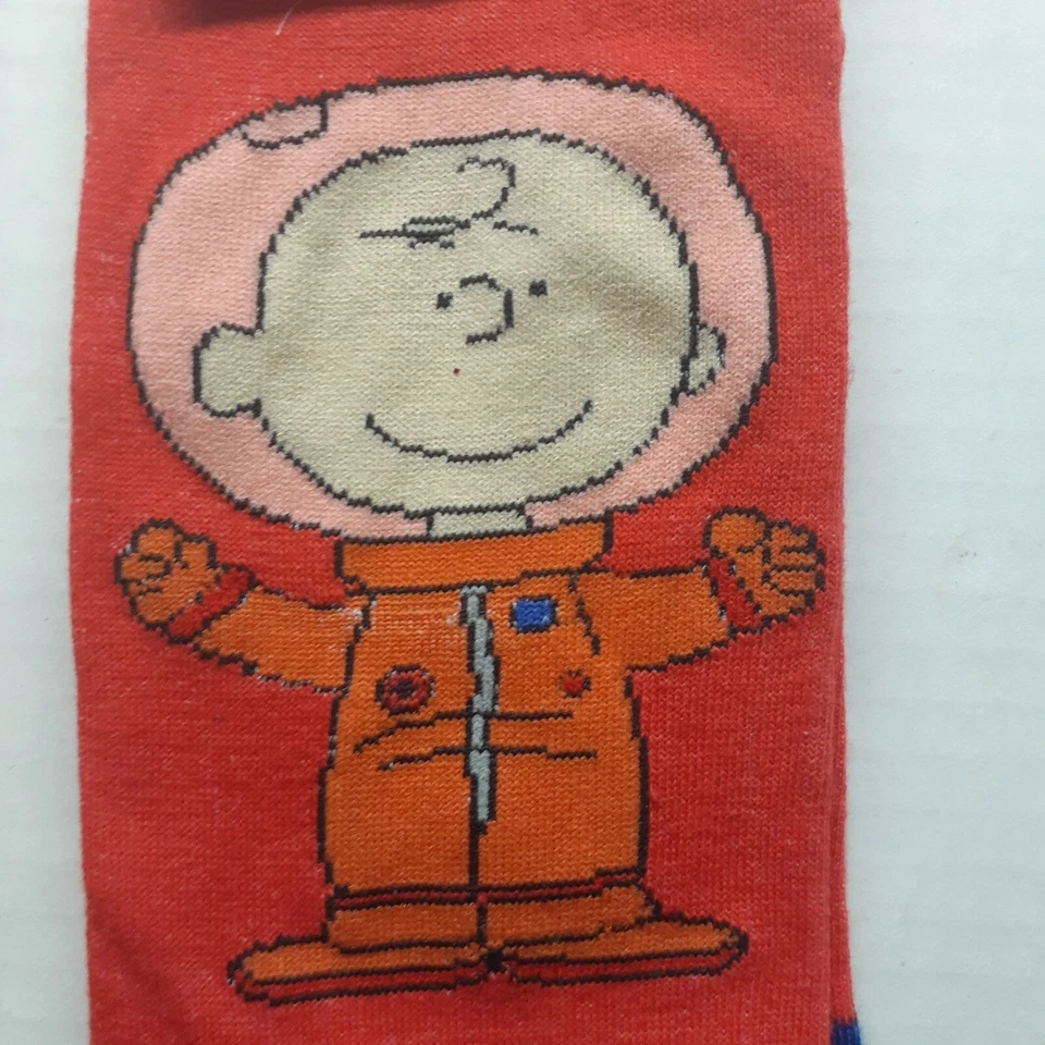 Peanuts No Show Socks 4 Pairs All Snoopy 1 Woodstock Size 9-11