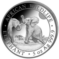 Elephant African Wildlife 5oz Silver 999.9 Somalia 2024 ST