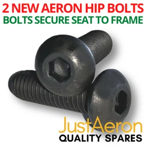 Herman Miller Aeron Seat Bolts Nuts Screws