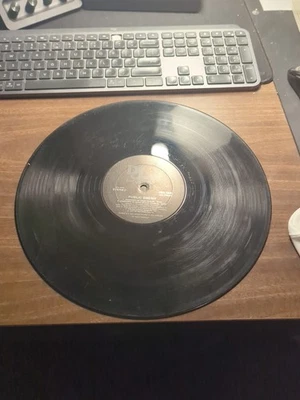 Public Enemy  - Don’t Believe The Hype / Prophets Of Rage Rap 45 7’ Def Jam NM Foto 1 de 3