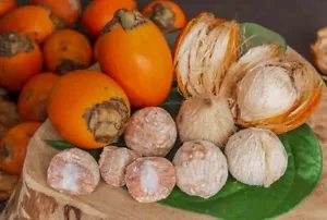 Semillas de palma de betel de nuez de Areca (Areca catechu) 45+ semillas - Imagen 1 de 8