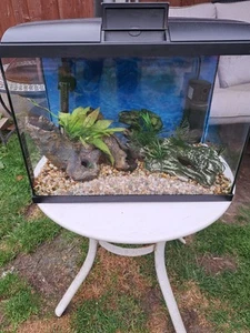 Fish Tank And Accessories - Picture 1 of 8
