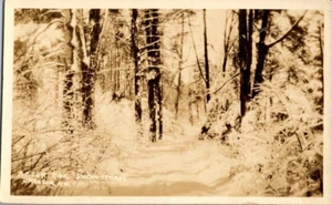 1928 Jackson, New Hampshire Snowstorn RPPC menziona film di voli Lindbergh - Foto 1 di 2