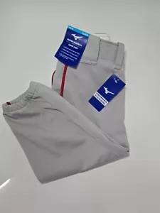 Sz YXL Mizuno Baseball Short Pant Performance Plus Padding Gray with Red Piping - Picture 1 of 11