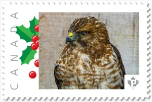 FALKE = GREIFVOGEL ** Bild Porto Kanada 2019 P19-04-S19 postfrisch - Bild 1 von 2