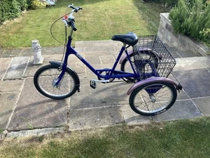 Pashley Picador  adult Tricycle  - Picture 1 of 7