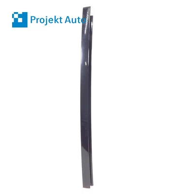 09-15 OEM BMW guía ventana trasera derecha negro brillante serie 7 7185236 F01 F02 F04 Foto 1 de 4