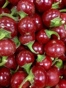 Süßer Kirschpfeffer - 5+ Samen - LECKER! Ca 020 - Bild 1 von 1