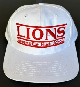 NWOT Vintage Greenville Lions High School The Game Split Bar Snapback Hat Cap - Picture 1 of 11