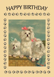 MALTESE MUM AND PUPS DOG BIRTHDAY GREETINGS NOTE CARD - Picture 1 of 1