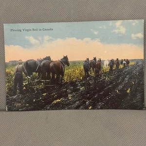 Postal vintage de Canadá arando suelo virgen escena agrícola de principios de 1900 - Imagen 1 de 2