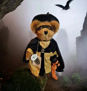 HALLOWEEN Witch Bear Endora Spellbound Boyds Bears Archive Collection - Picture 1 of 16