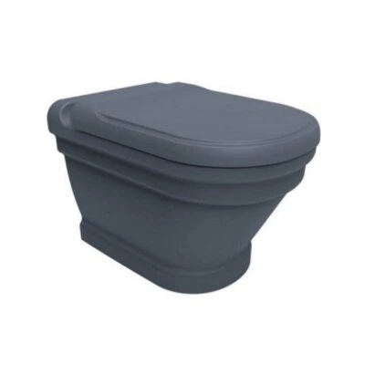 Efes Antique Basalt Wall Hung Combined Bidet Toilet With Soft Close Seat - Image 1 of 4