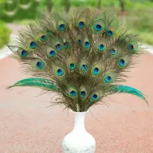Natural Long Peacock Feathers 10-12 '' long, Pre-Steamed NEW Q5D6 - Picture 1 of 14