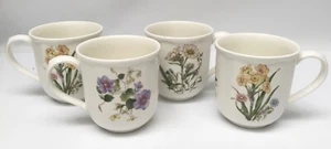 Juego de 4 tazas de café Noritake Clematis Narciso Silphium - Imagen 1 de 3