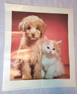 Póster arte de pared vintage años 70 1977 escolástico cachorro N gatito perro gatito gato 22x25" - Imagen 1 de 4