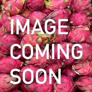 Aztec Gem - Dragon Fruit (1x Cutting 15-17cm) Edible Plant Tropical Cactus - Picture 1 of 5