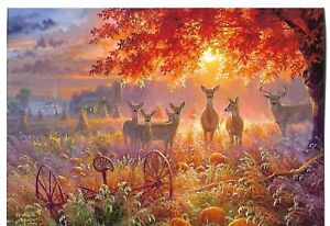 NEW LEANIN TREE THANKSGIVING CARD 4.75 X 7" - Deer at Sunset in Field Pumpkins  