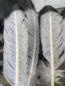 12 Large 10-12" Imitation Eagle Feathers #1 Grade Black Tip for Crafts & Artwork - Picture 1 of 4