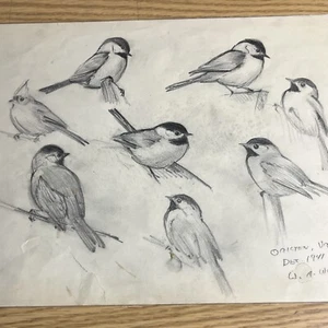 Walter A Weber, Fed DK Winner ,Original 1941, Chickadee,Pencil  Drawing,unframed - Picture 1 of 12