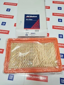 Genuine GMH NOS Holden Air Filter AC Delco CAPTIVA ACA176 A1638 19246629 - Picture 1 of 2
