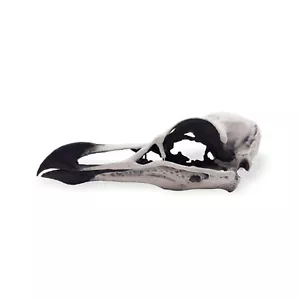 Razorbill Scale Artisan Diorama Dollhouse Miniature Models - Picture 1 of 4