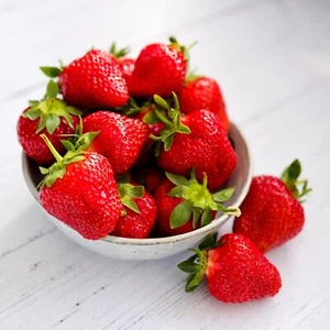 Eversweet Everbearer Strawberry Plants - Fruits Spring to Fall Even Over 90 - Picture 1 of 3