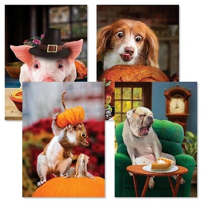 NEW (8) Karen Burke Humorous Animals Thanksgiving Cards 4 Designs 5x7 w/env - Image 1 of 4
