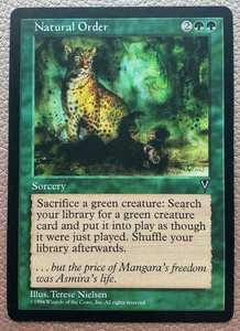 Natural order Visions MTG Magic the gathering - Picture 1 of 4