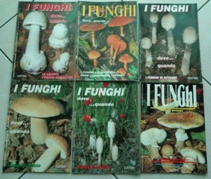 LOTTO 15 RIVISTE DEI FUNGHI MENSILI DIVULGATIVI DI MICOLOGIA ANNO 94/95 - Picture 1 of 6