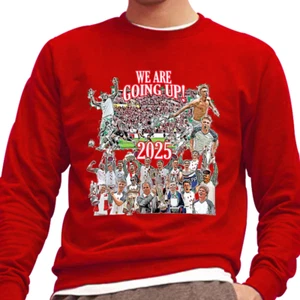 Sunderland Promoted 2025 Red Pullover Top Design 2 Fans Pulli Weihnachtsgeschenk - Bild 1 von 2
